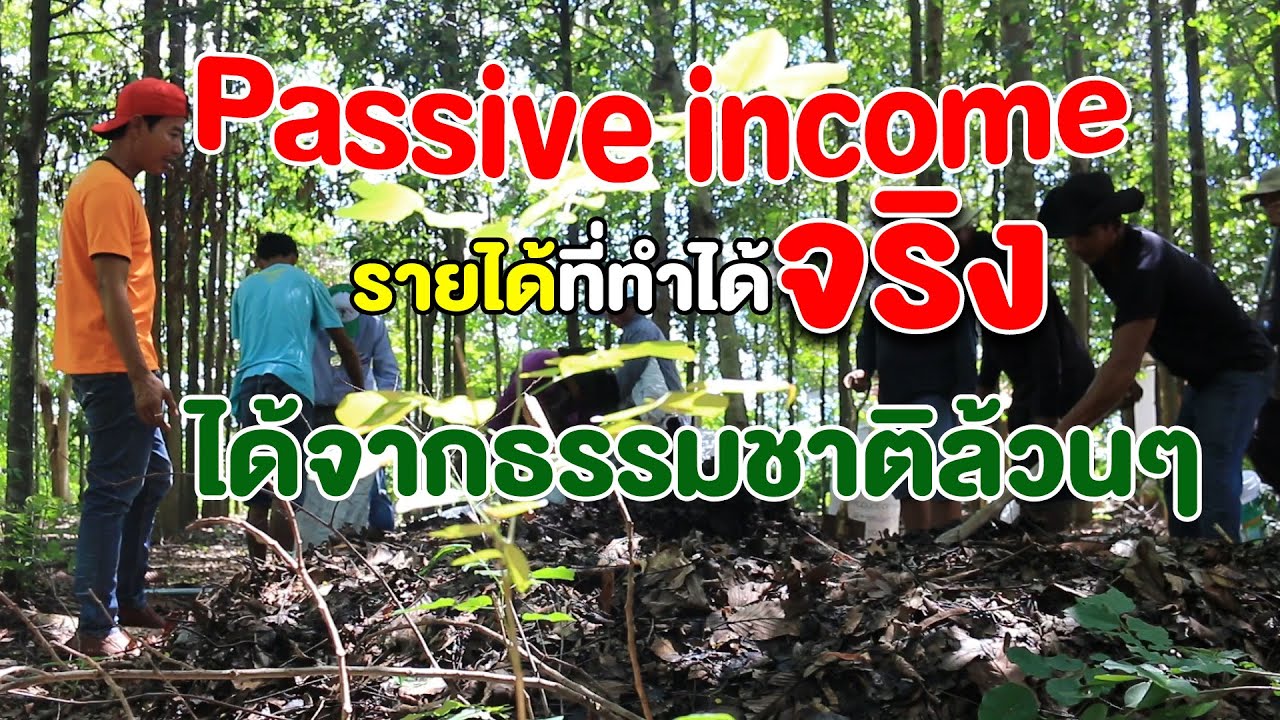 ทำได้ยังไง!!! กวาดใบไม้ที่วัด ได้เงิน แถมยังได้บุญด้วย | คนรักษ์ป่า ep 141