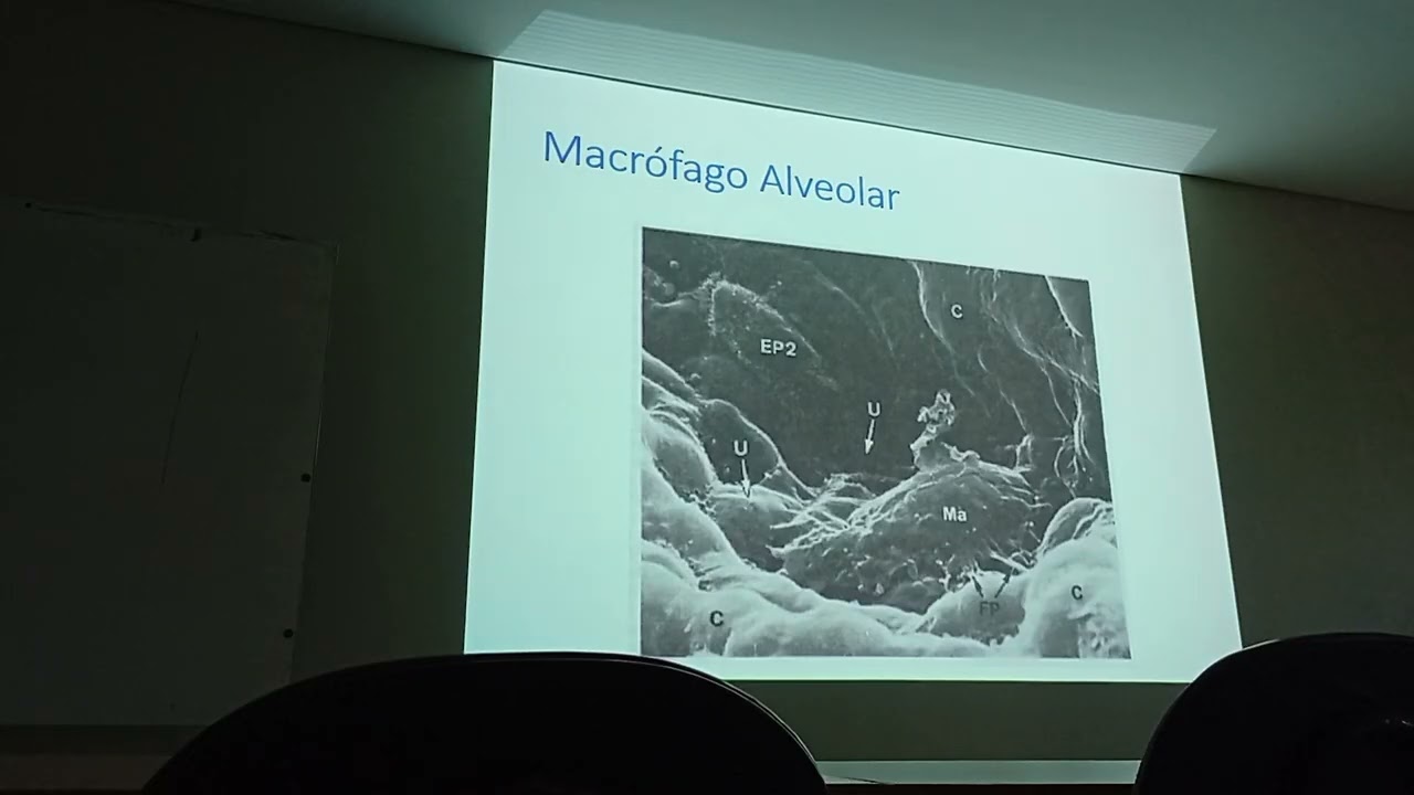 Fisiopatología clase de Francis Enfermedades obstructivas EPOC
