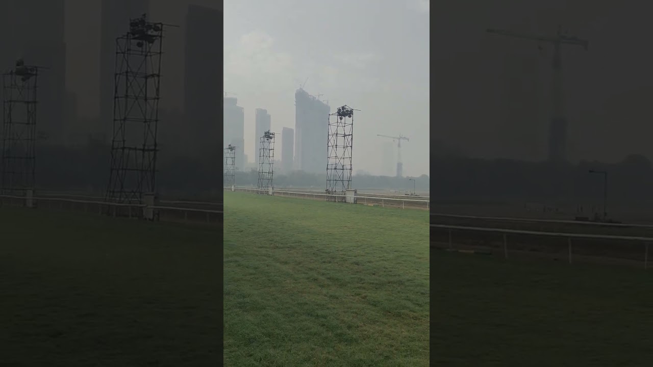 Horse 🐎🐎 running ##dealy new video##😊