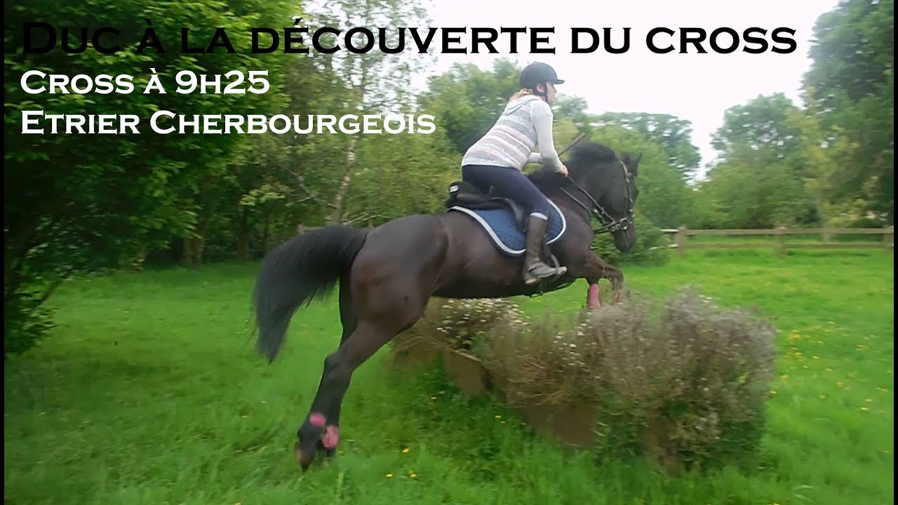 DUC A LA DECOUVERTE DU CROSS - 9h25 - Etrier Cherbourgeois