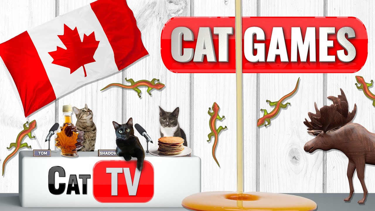 Gry dla kot&oacute;w | Przytulny kanadyjski wypad Larry&rsquo;ego Jaszczura 🦎🏒❄️ 🇨🇦 😻