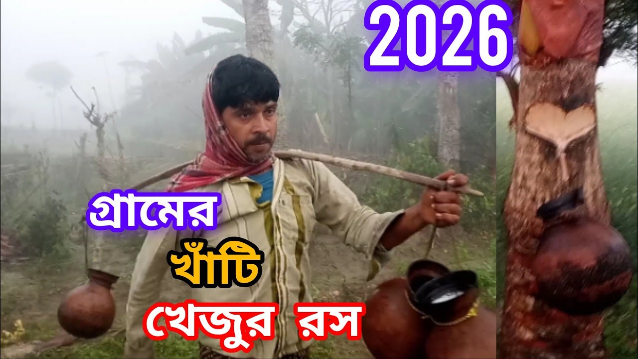 গ্রামের খাঁটি খেজুরের রস 2026