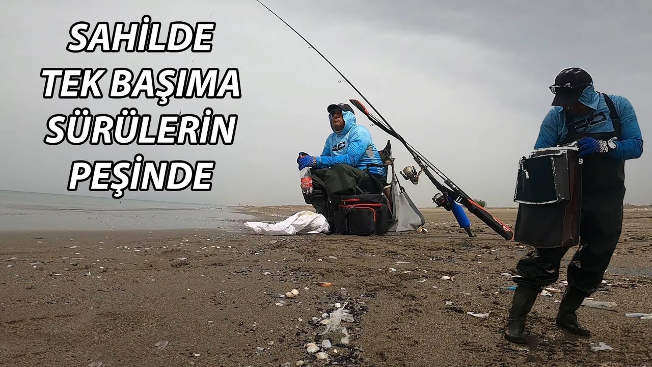 SÜRÜYÜ BULDUM AMA SİVRİLER DELİK DEŞİK ETTİ