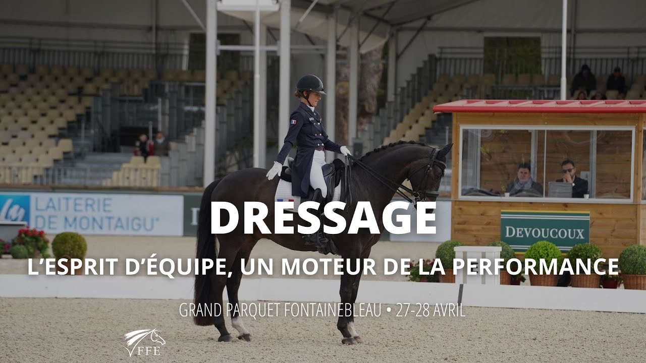 CDI5* FONTAINEBLEAU - L'équipe, un moteur de performance en route vers Paris