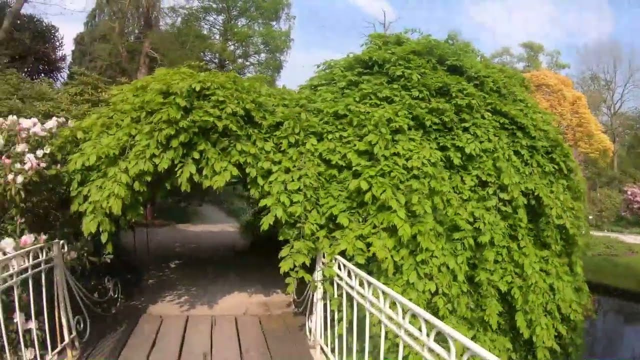Trompenburg de Tuin van Rotterdam,  Tuinen van Trompenburg & Arboretum Deel 2 van 2