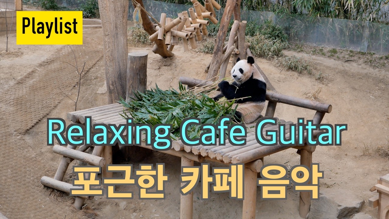 [Playlist]🎧FREE BGM/마음을 내려놓는 시간| Relaxing Guitar Music