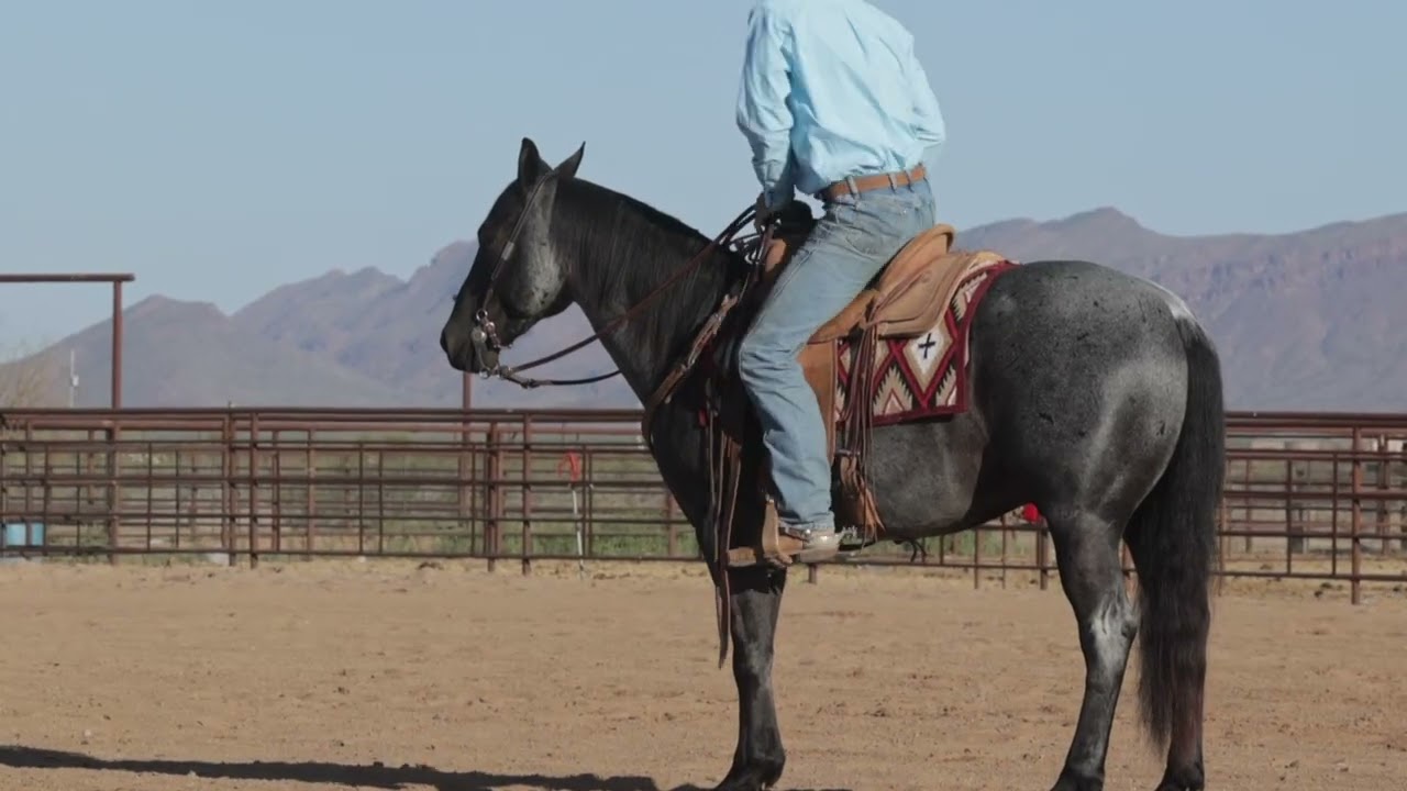 BOONS GOT THE BLUES RJR RANCH   HD 1080p