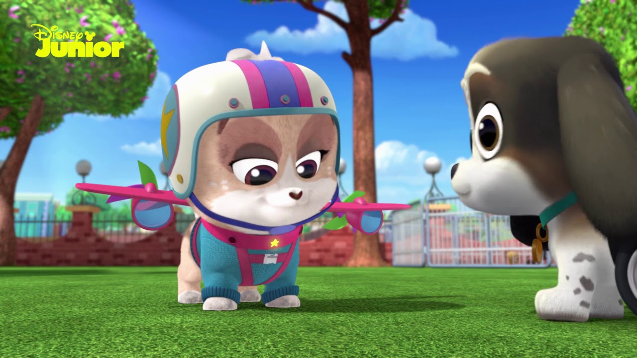 Going On A Mission | Puppy Dog Pals 🐶 | Disney Junior Arabia