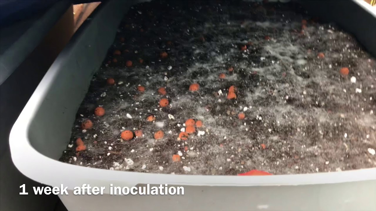 SUPER SOIL DONE THE RIGHT WAY