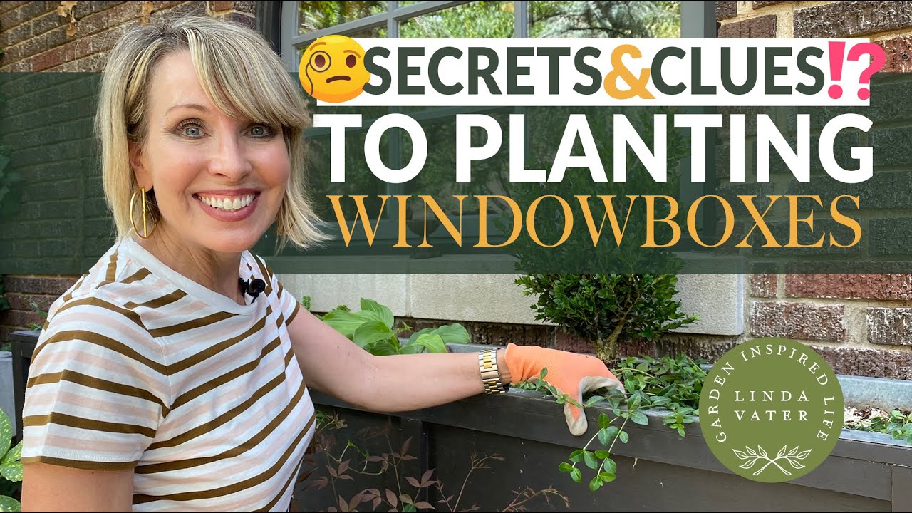 Tips and Tricks to Planting Windowboxes