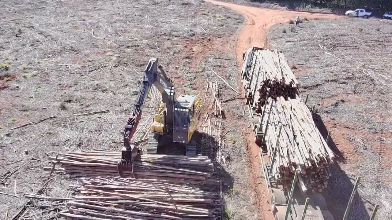 Sera que essas volvo aguenta o pega.  