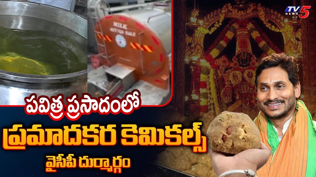 కల్తీ నెయ్యిలో ప్రమాదకర కెమికల్స్ | Tirumala Ghee Case | YCP | SIT Chargesheet || TV5 News