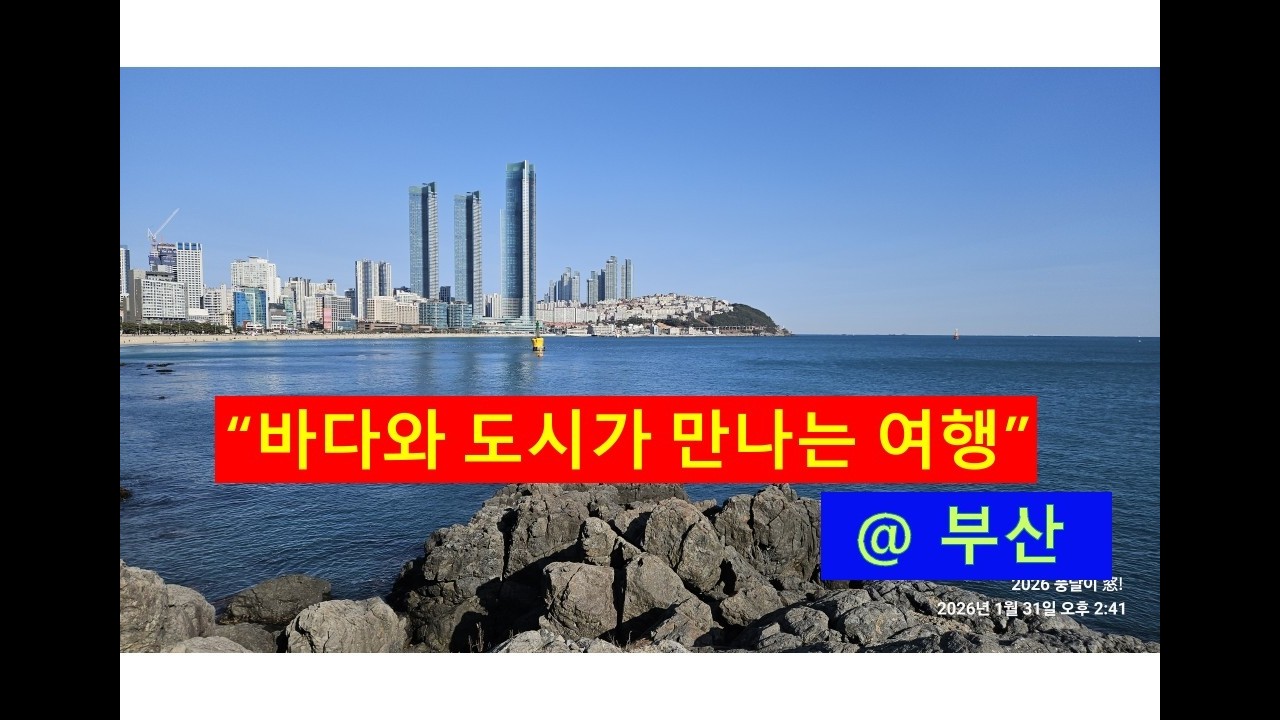 바다와 도시가 만나는 여행, 부산