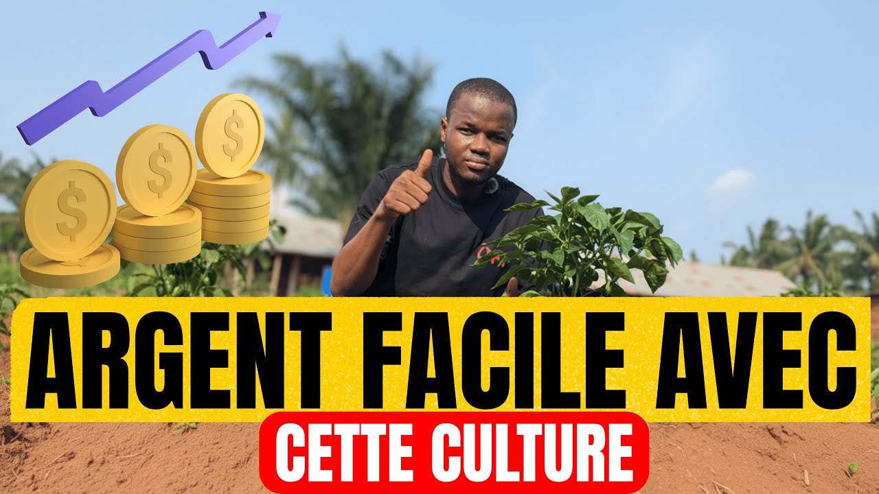 GAGNEZ DE L'ARGENT AVEC CETTE CULTURE