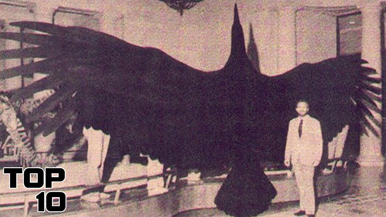 Top 10 Terrifying Creatures That Are Not From This Planet