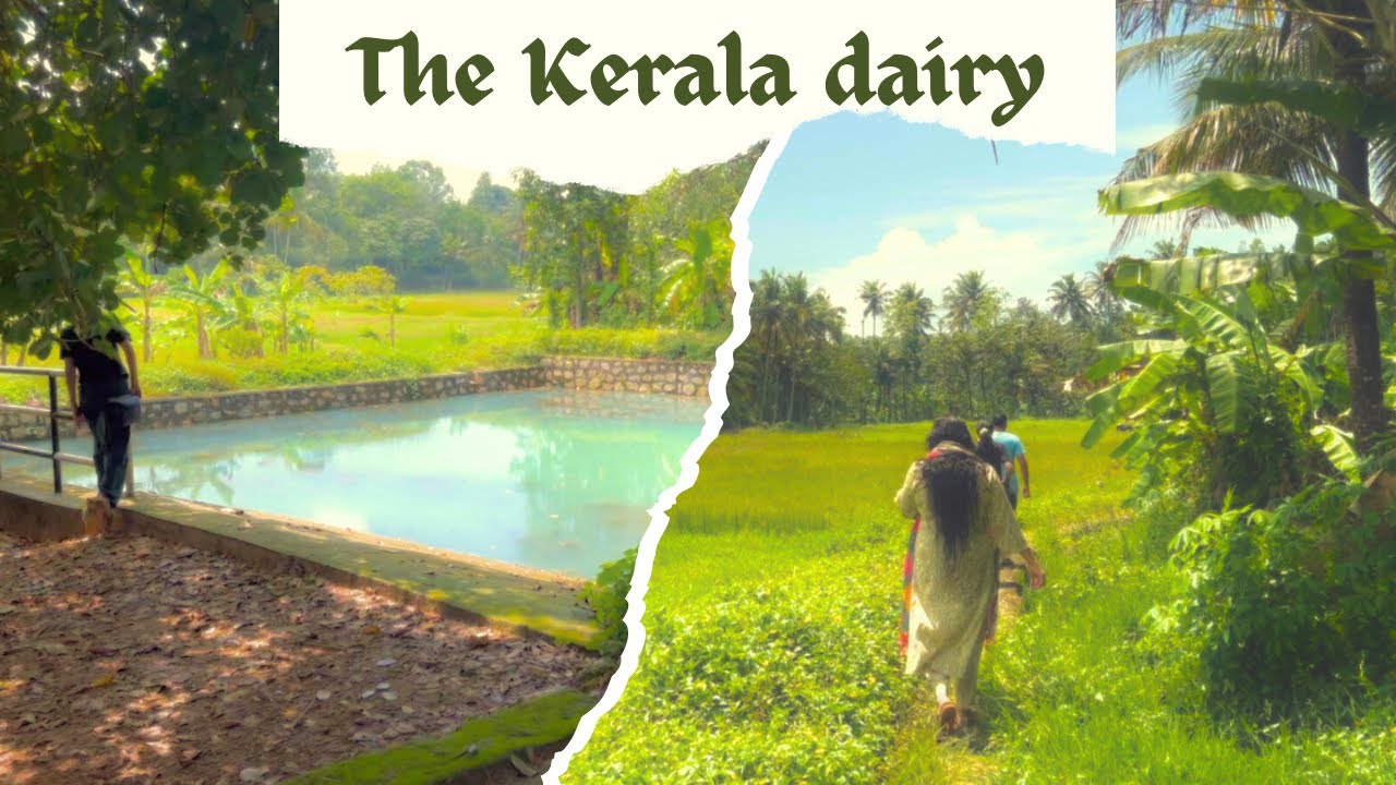 Kerala Village Life | Kerala Village Lifestyle | life in Kerala - Kerala's Villages