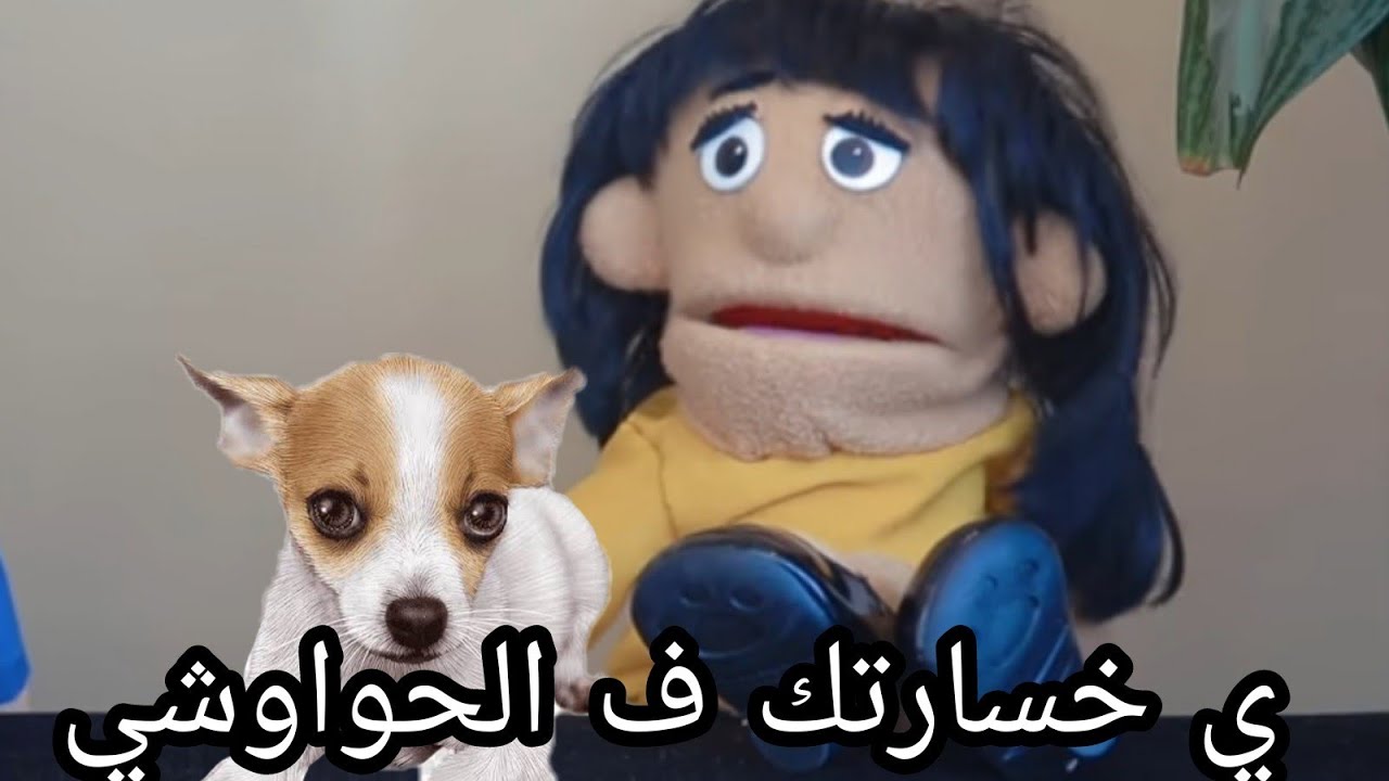 لما مراتك تشترى كلب