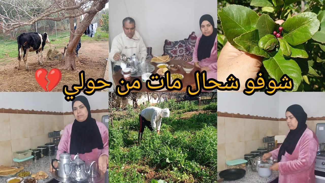 هادا هو الروتين ديال ام ادم 😍 و ميلود زرع الجردة❤