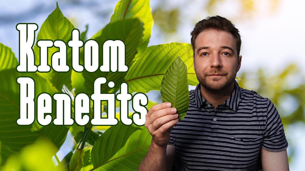 Kratom! A Natural Remedy for Pain, Anxiety, and More