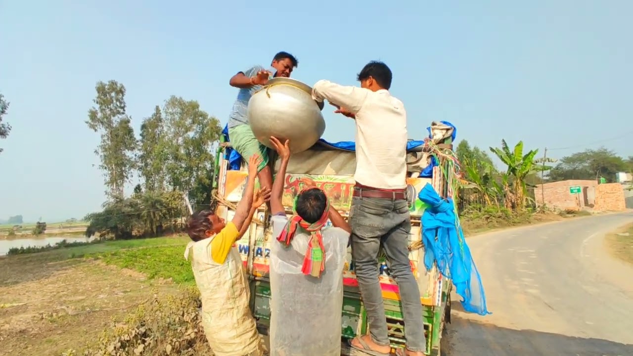 নতুন পুকুরে ছাড়বো ১৪–১৫ ভাঙা রুই – দেখুন পুরো প্রসেস!