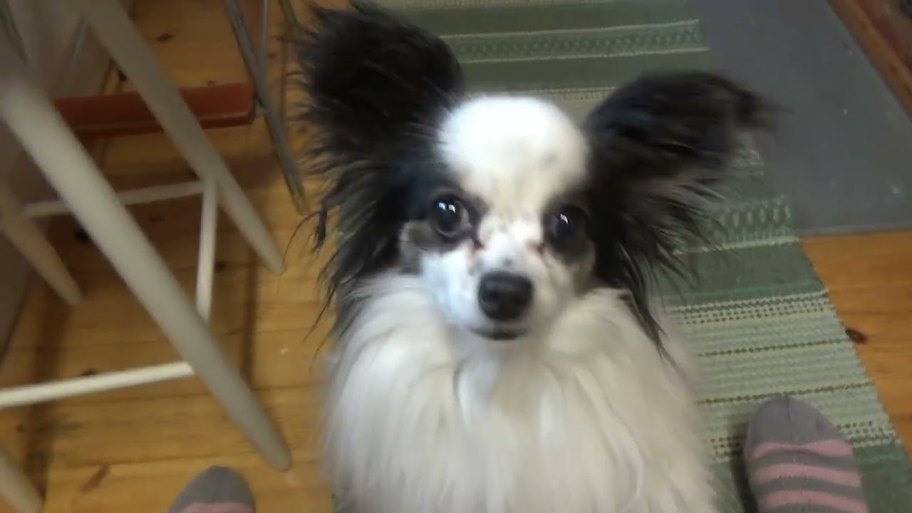 Broilerikeitto riisi-kasvisseoksella