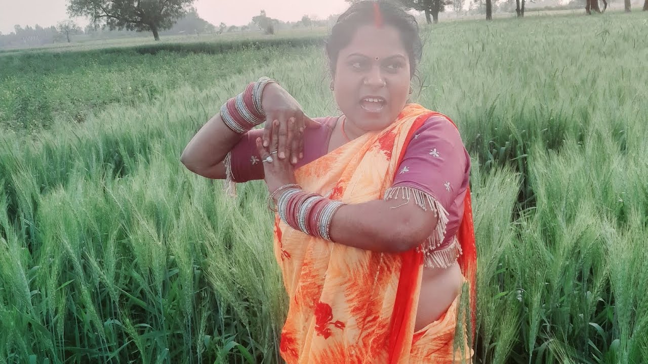खेत ।। में अमरूद लगे।।हैं।।