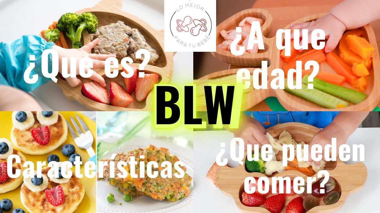 Baby let weaning: Que es ? Características, Que pueden comer? Es seguro?