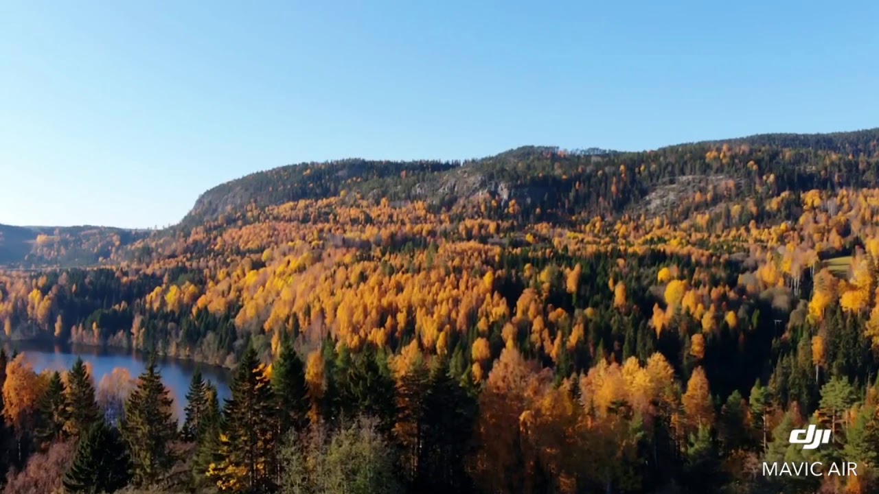 Indals&auml;lven Liden 🍁