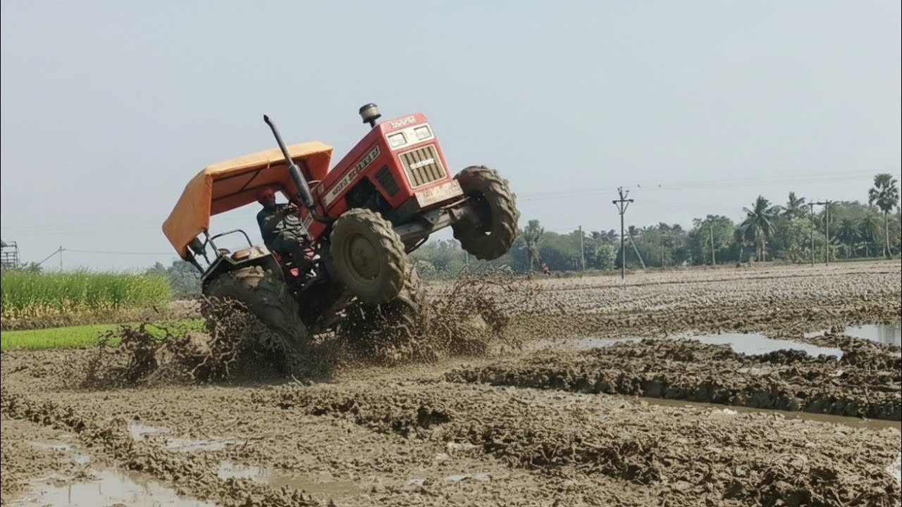 Swaraj 855 In The Field Day -16