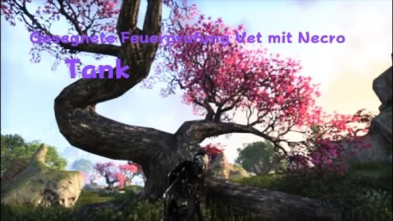 Teso Gesegnete Feuerprüfung Vet mit Necro Tank