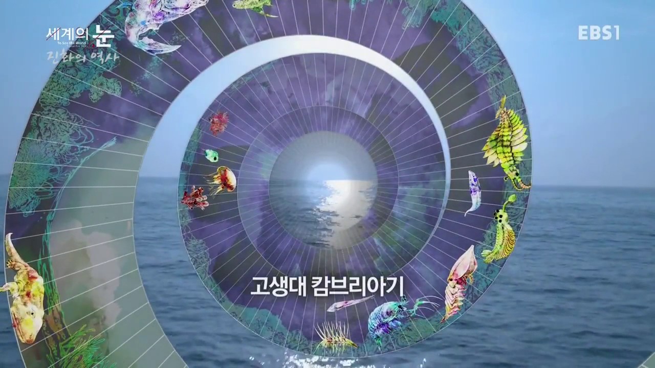 [다큐] 진화의 역사 우리 눈이 생기기까지