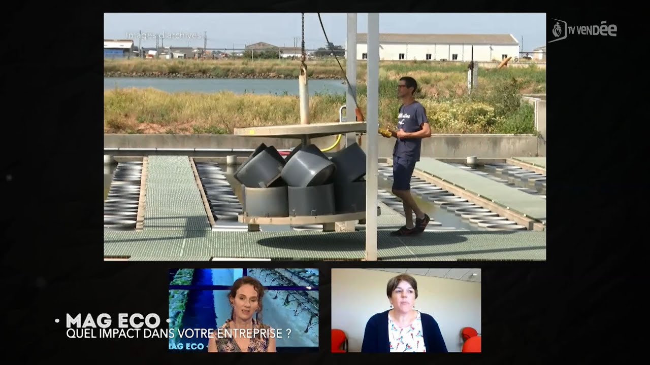 France Naissain Spécial confinement