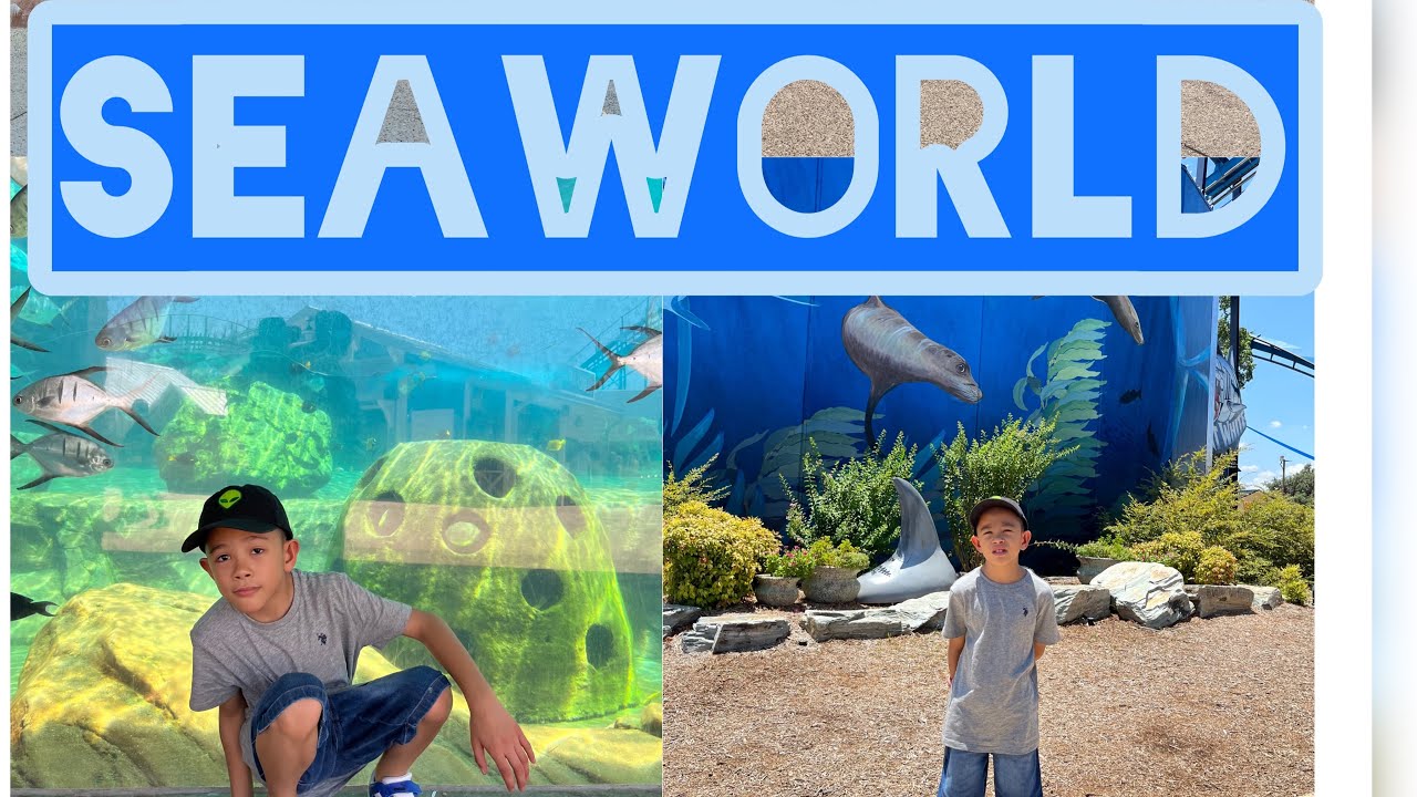 Summer Vacation at Seaworld San Antonio TX