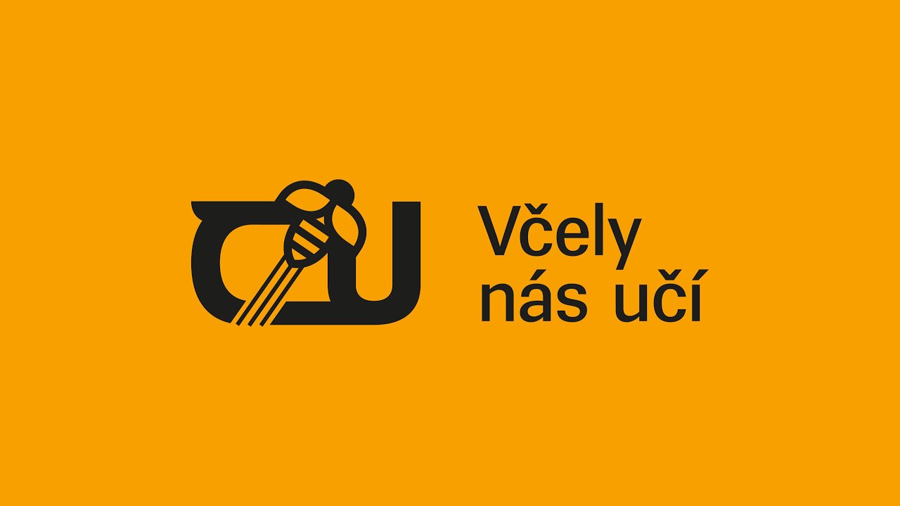 #4 Jak se včely samy učí