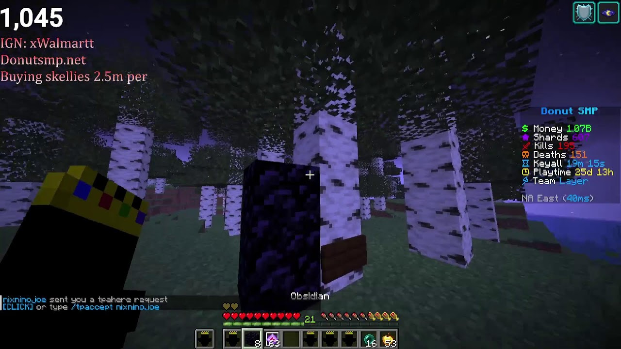 Donut SMP Live | Rating bases 5m per | Buying skellies | 1b lootdrop later?