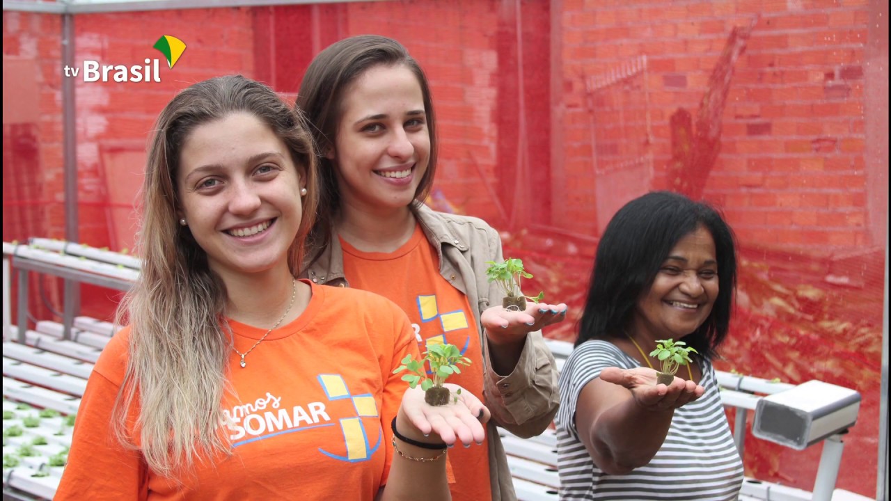 Agro Nacional mostra fazendas urbanas e a produ&ccedil;&atilde;o do trigo