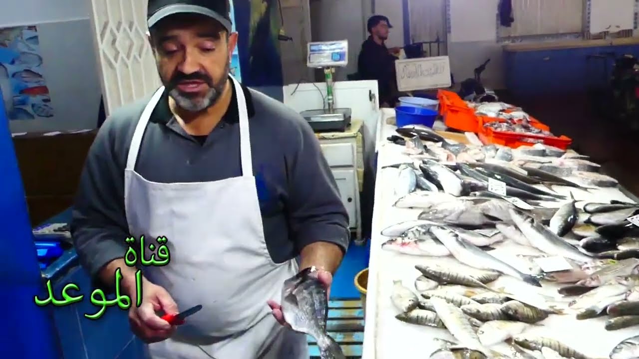 الحوت بشوي بشوي يرخص كان غالي وتوى السوم بدى يطيح كي الطقس سخن شوي وهاذي الأسعار إلي عندنا