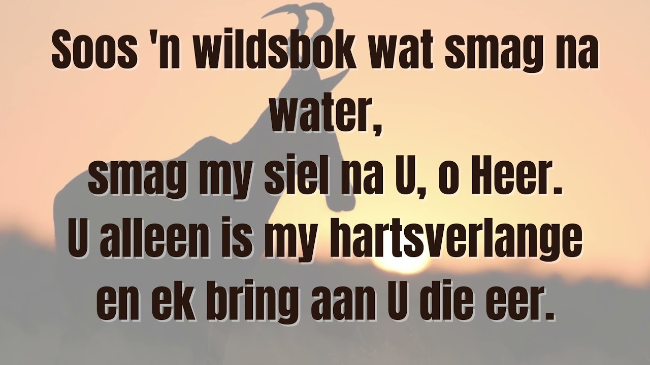 LB 163 Soos 'n wildsbok