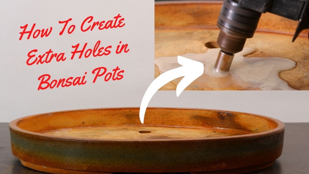 How to Create Holes In Bonsai Pots Easily
