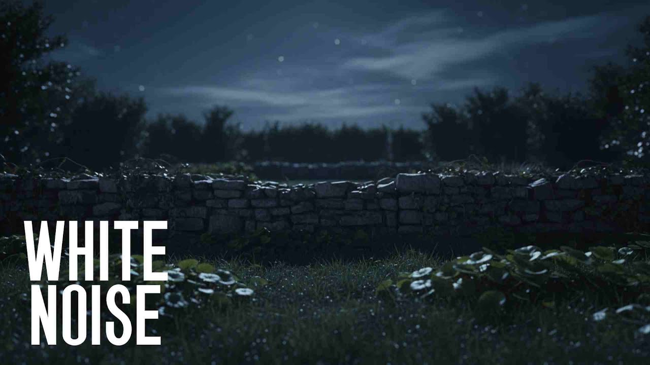 2 Hours of White Noise 🌙 Quiet Night Garden for Sleep & Relaxation