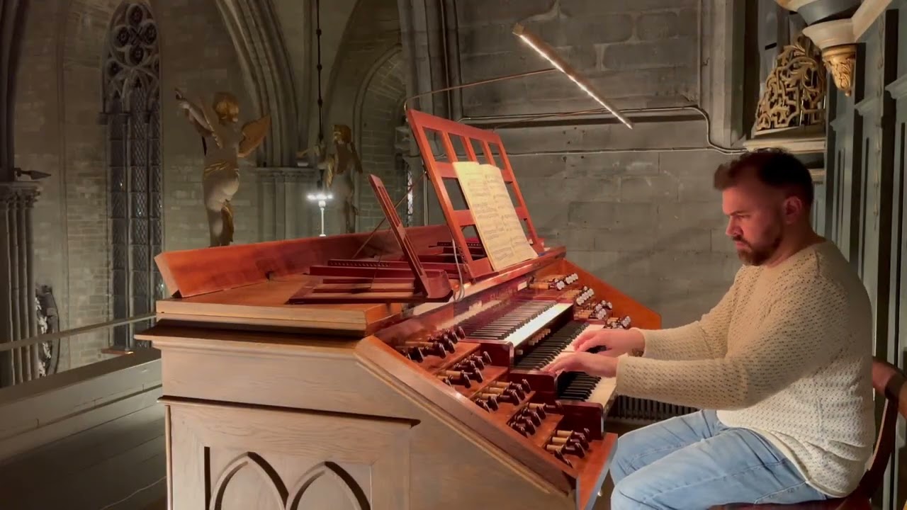 S. Karg-Elert: Macht hoch die Tür Op. 65 No. 8. Henrik Berg, organ.