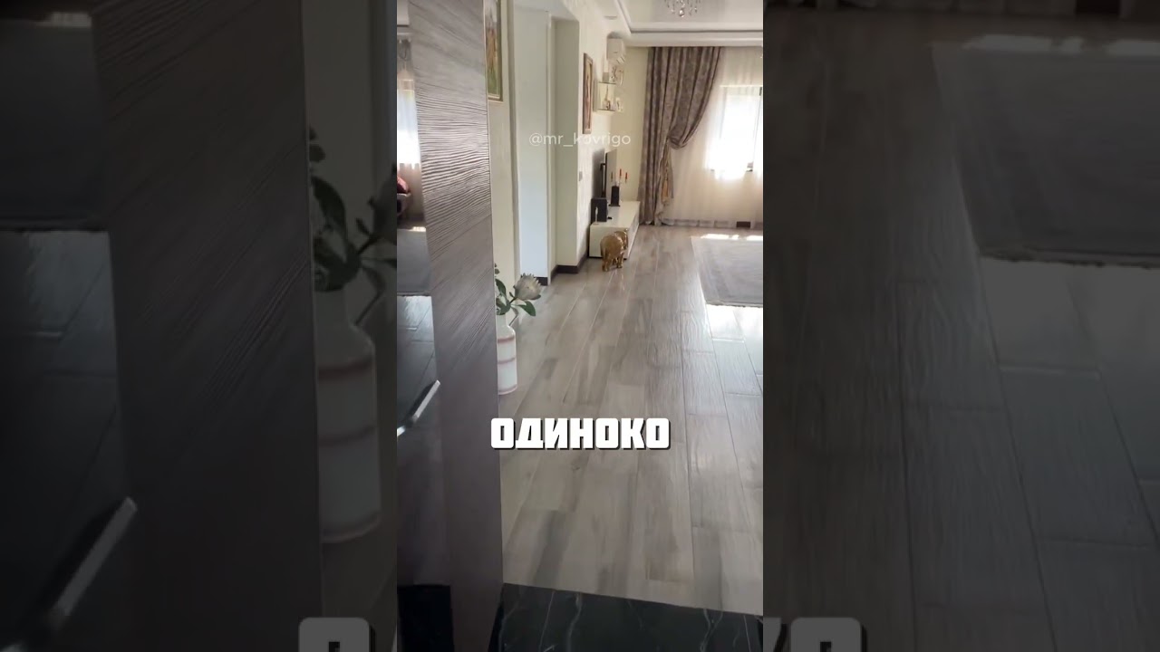 ХОЛОСТЯТСКАЯ ЖИЗНЬ @mr_kovrigo
