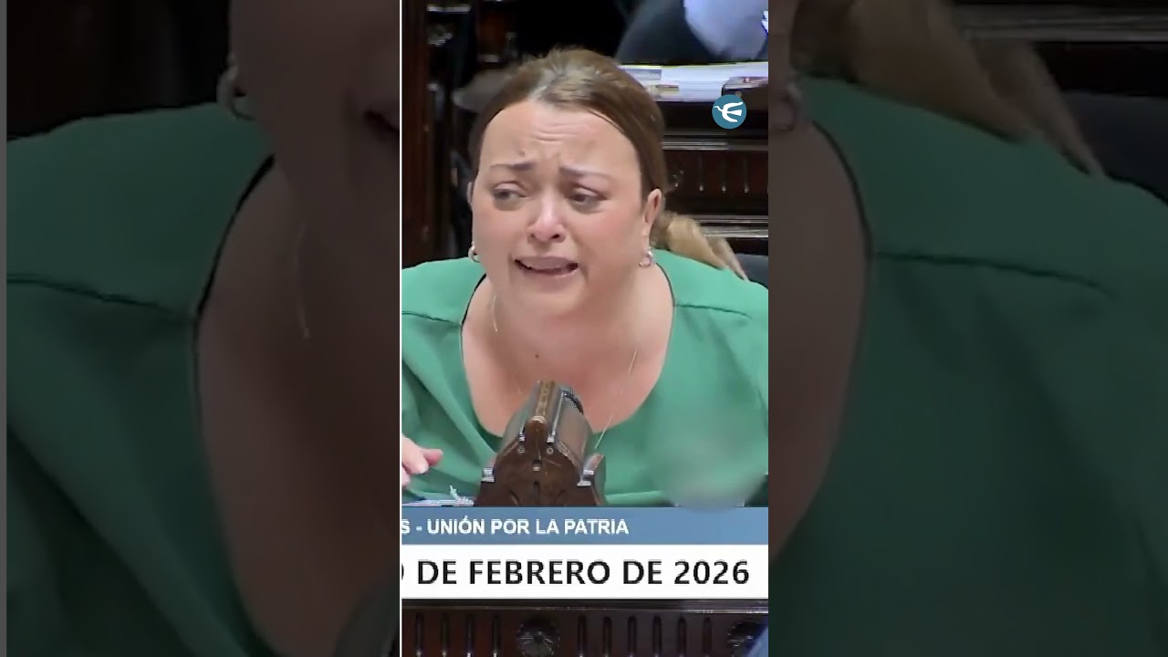 El cruce entre Cecilia Moreau y Mart&iacute;n Menem en Diputados