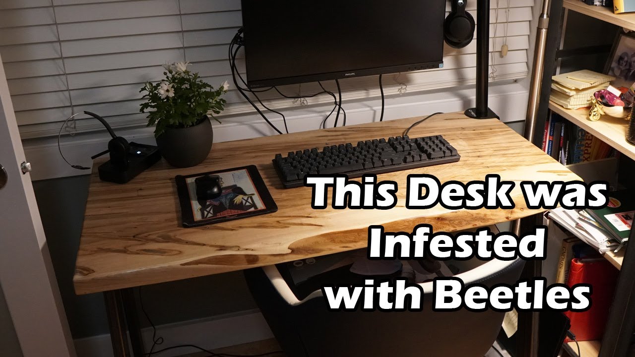 How to Build a Live Edge Desk | Ambrosia Maple Wood Top