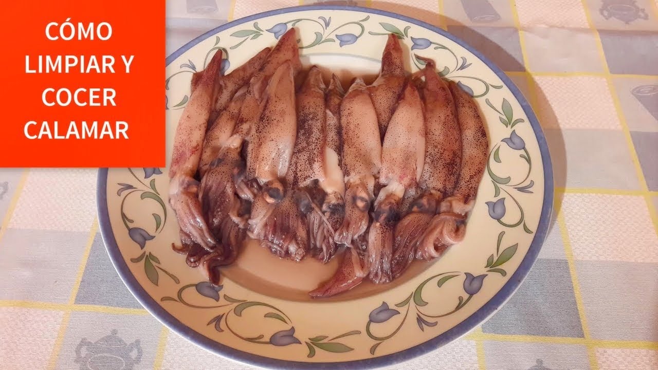 Como Cocer Calamar explicado paso a paso RECETA FACIL