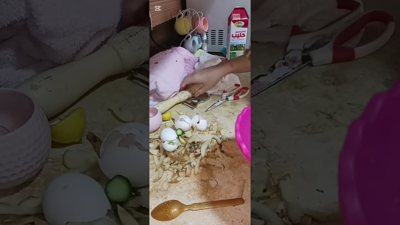 يوم فى حياه ام مطحونه
