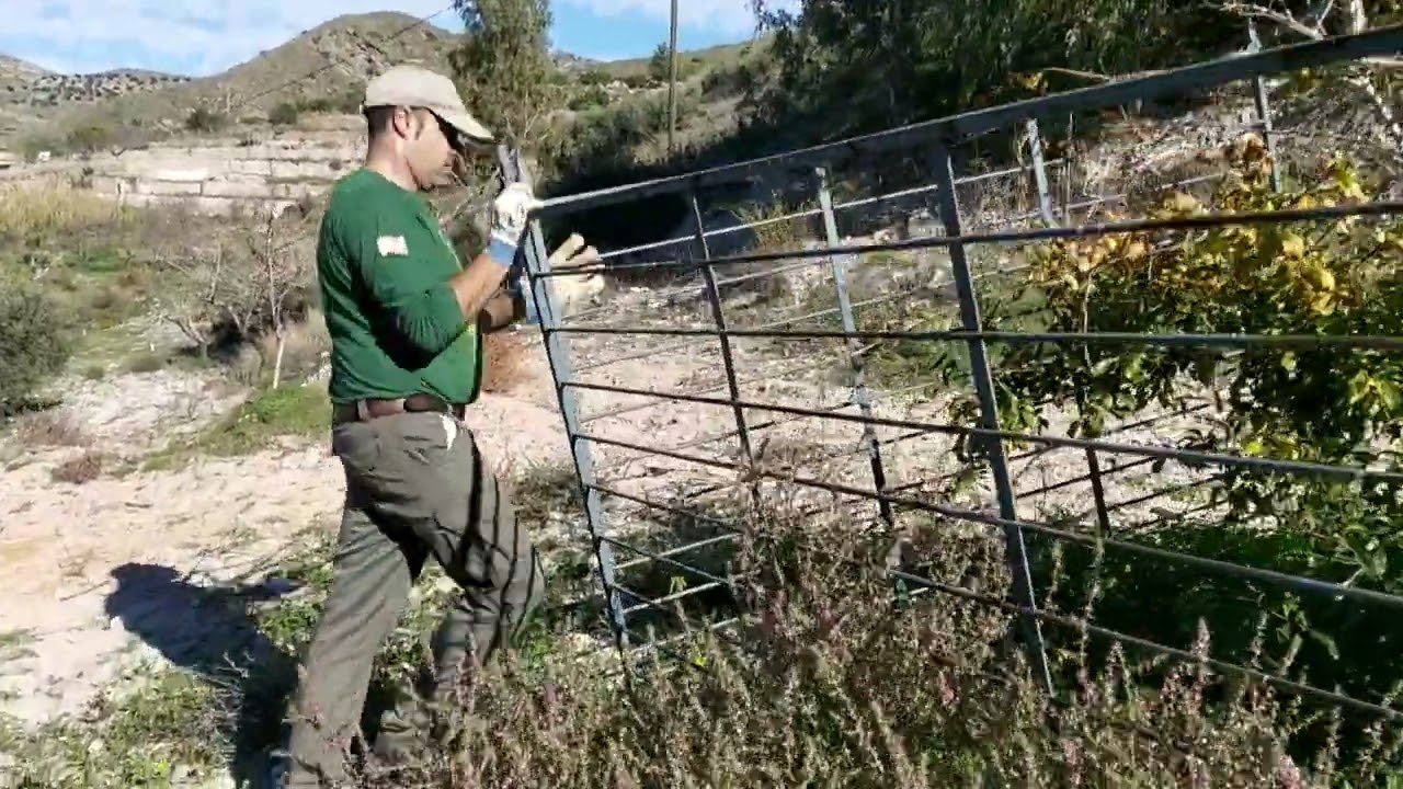 L.M    quitando   la valla a los GRANADOS😊👍🇪🇸💪🌳