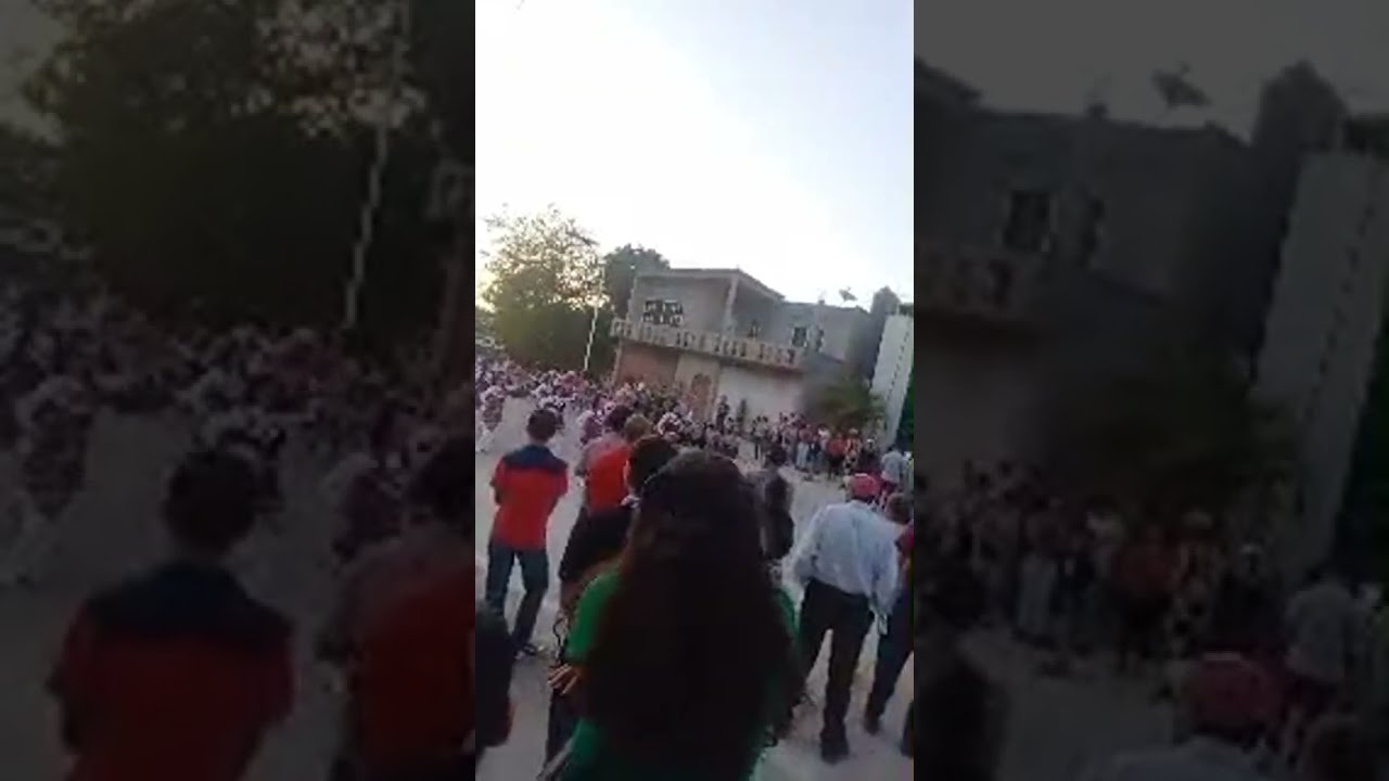 ¡Profe Fili está emitiendo en directo!