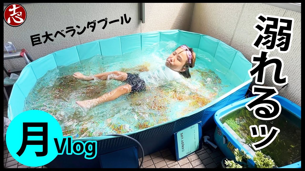 【月曜Vlog】宿題開始❗️彼氏顔公開⁉️ドッタバタ💦ベランダプールで溺れる娘💦