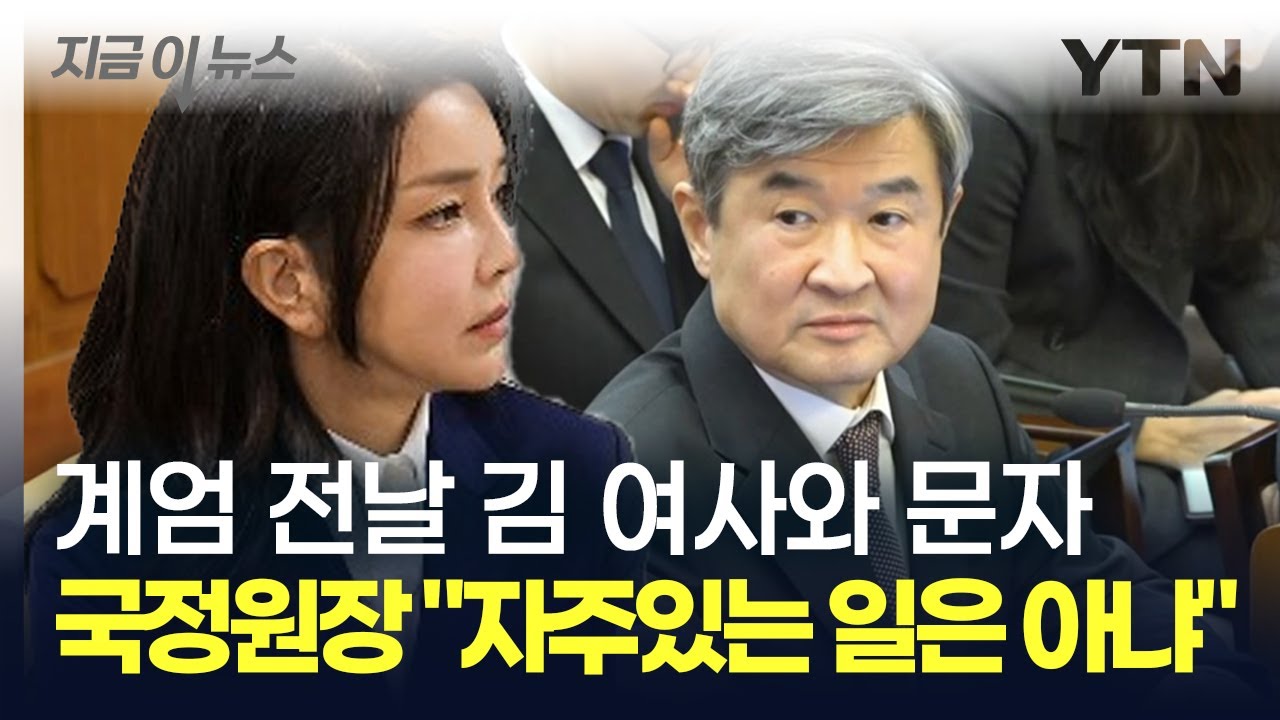 조태용 국정원장, 계엄 전날 김 여사와 문자 주고받았다 [탄핵심판 8차 변론기일] / YTN